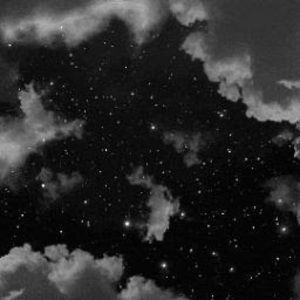 Meet your Posher, Daisy